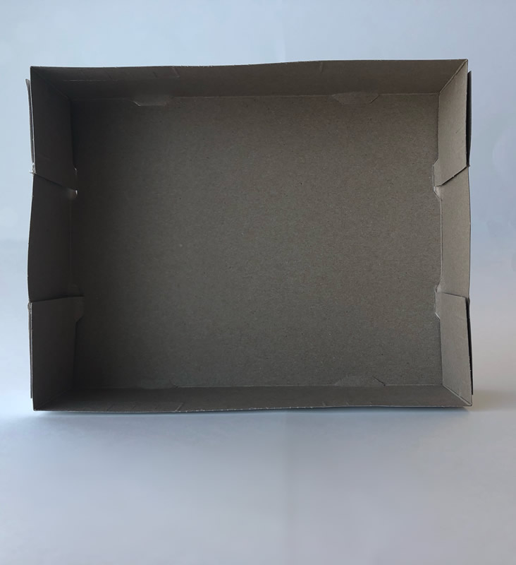 9"x7"x2.5" Carry Out Tray 500cs Canada Green Natural Products